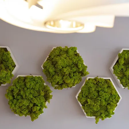 Comfortable Krakowska With Free Parking By Renters * ורוצלב